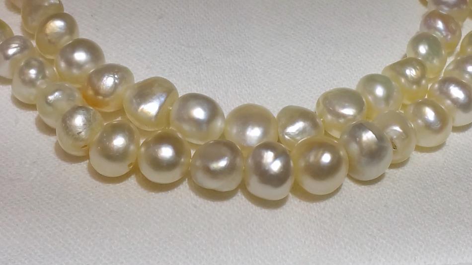 Saltwater Pearls